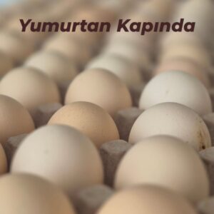 taze köy yumurtası 30'lu koli
